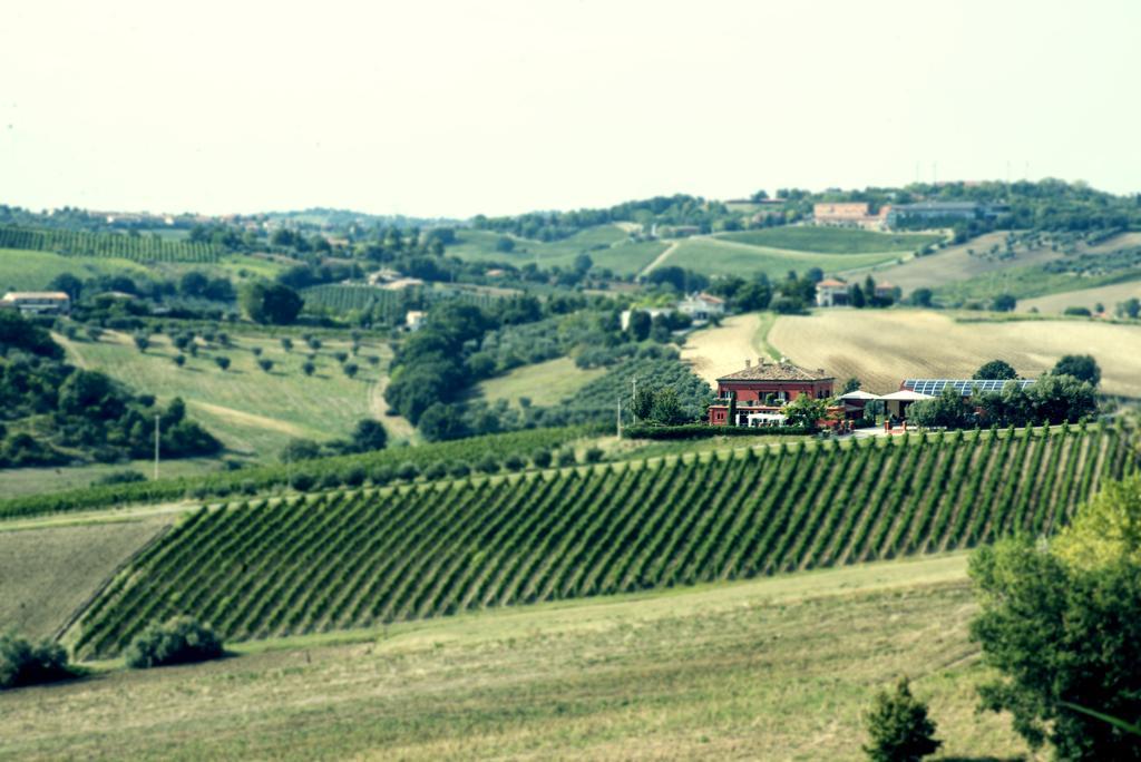 Tenuta Santini Vila Coriano Exterior foto